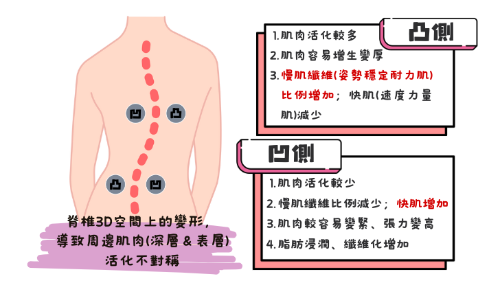 螢幕快照 2024-04-11 14.25.47